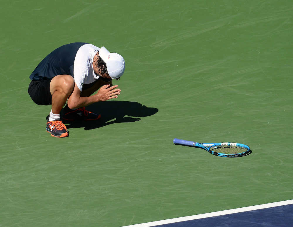 【画像・写真】ダニエル　元世界１位ジョコ撃破、２時間半熱闘「最高の勝利」