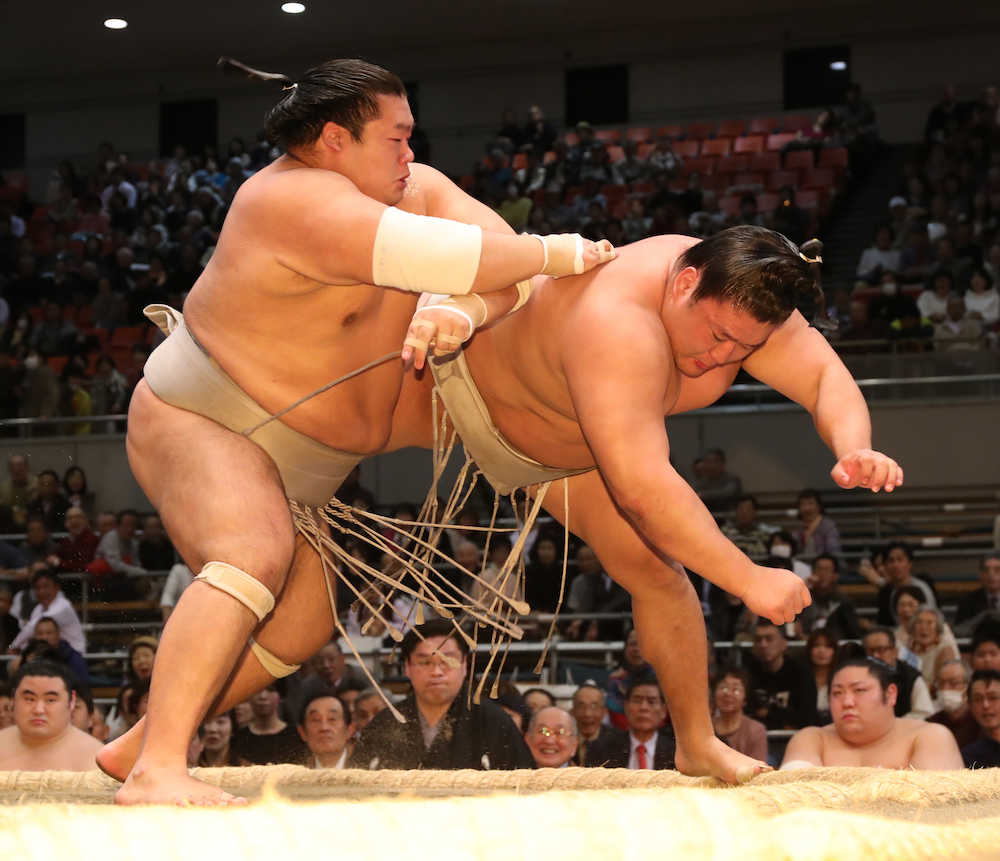 大相撲春場所１０日目　貴ノ岩（右）は押し倒しで誉富士に敗れる