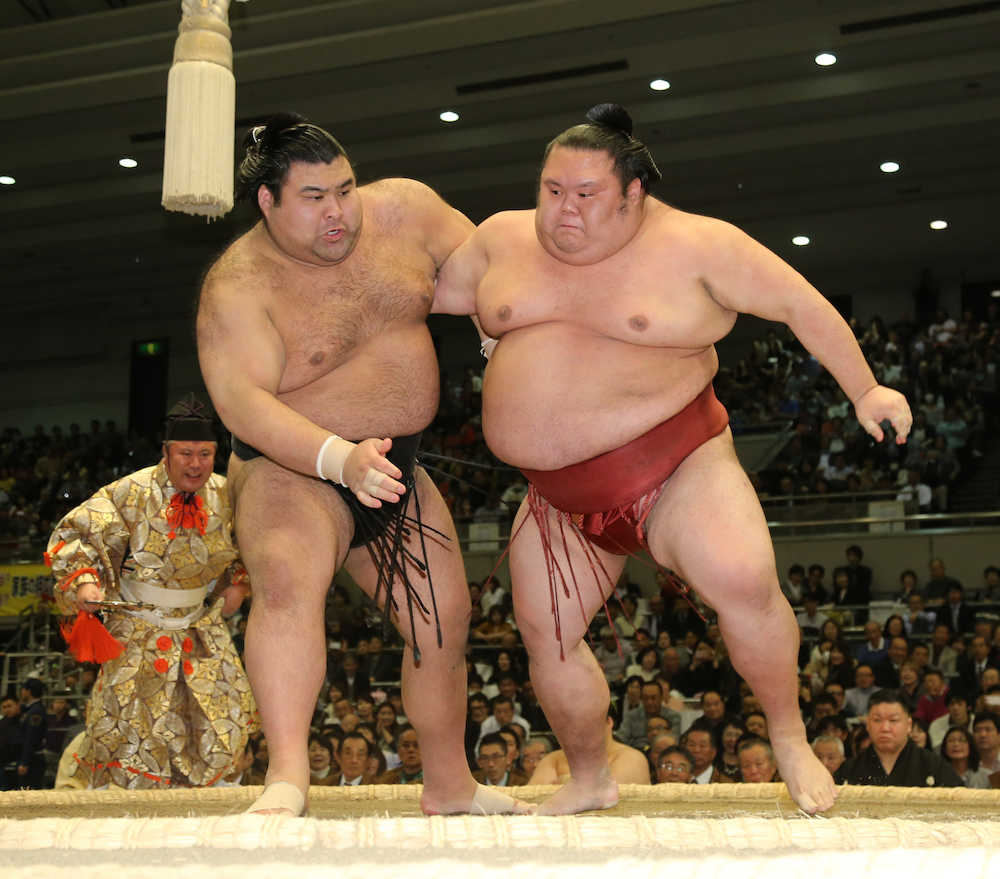 大相撲春場所１２日目　高安（左）を突き落としで破った千代丸