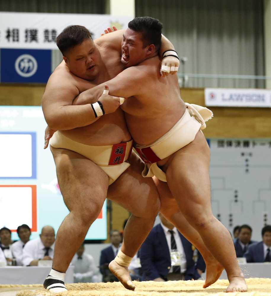 相撲成年個人で東洋大・城山が連覇、団体は新潟が３連覇達成