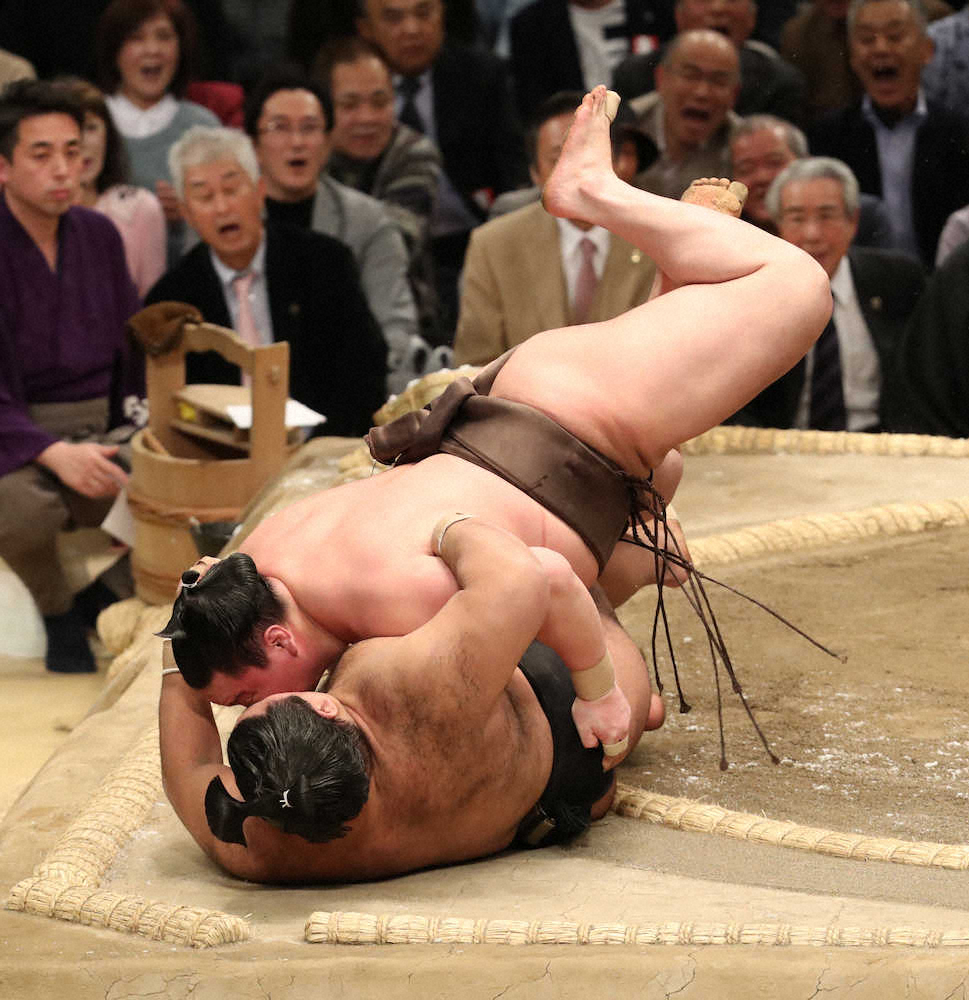 【画像・写真】白鵬14戦全勝、Ｖ決定は千秋楽に　逸ノ城、貴景勝下して１敗キープ