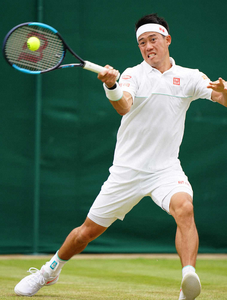 【画像・写真】男子テニス・錦織圭