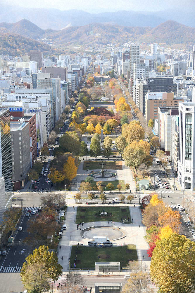 スタートとゴール地点候補に挙がる札幌の大通公園