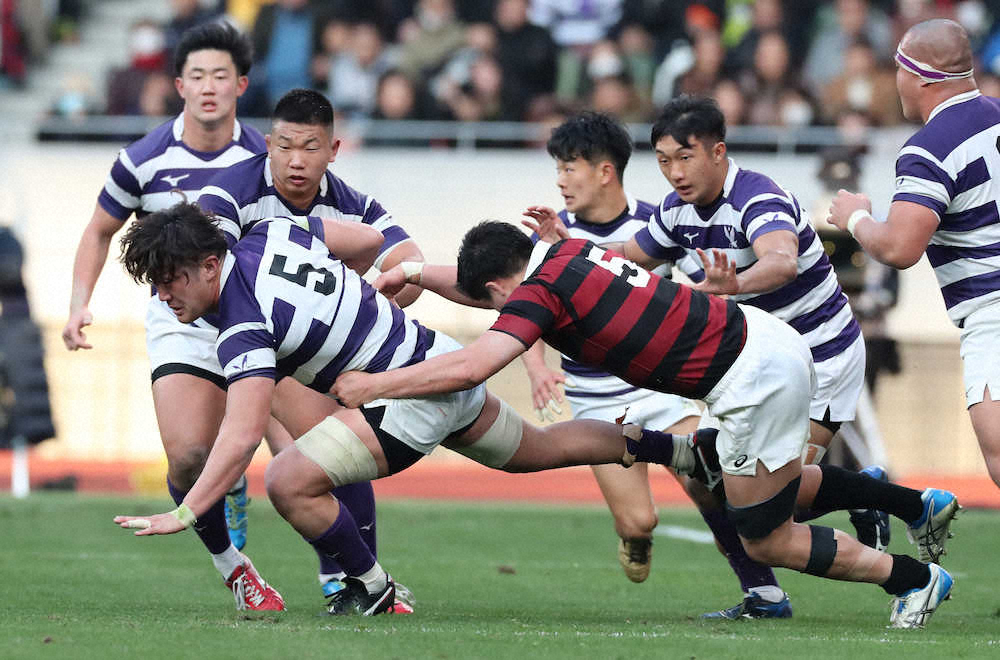 【画像・写真】明大LO箸本、前半の沈黙悔やむ…誓った出直し「早稲田に勝って優勝したい」