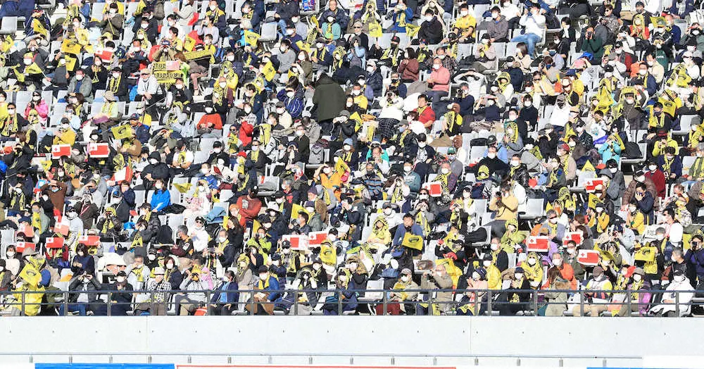 味の素スタジアムでトンガ国旗掲げられた光景にトヨタのラウタイミ「感謝したい」　リーグワン第2節