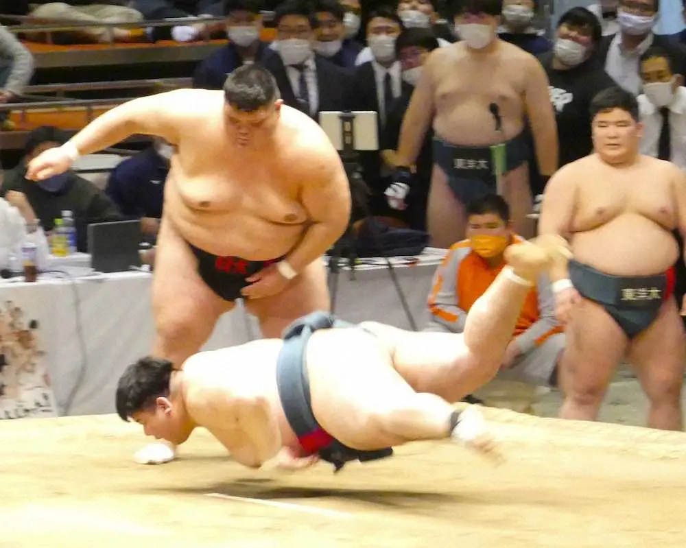 団体優勝の日大・川渕一意が1年ぶり復帰　ぶっつけ本番で起用に応えた　全国学生相撲選手権
