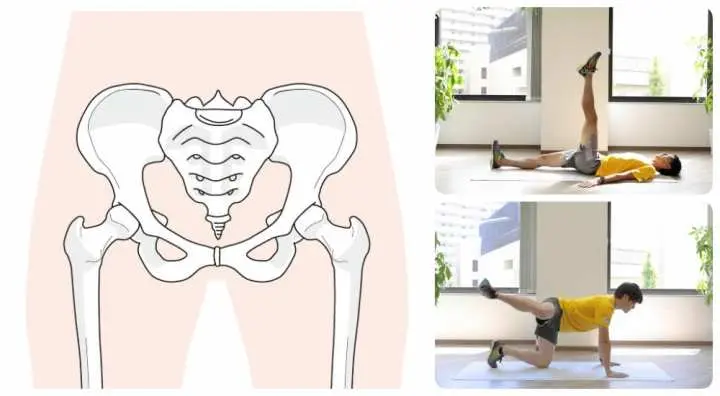 股関節ストレッチ＆トレーニング｜股関節の筋肉はどこを指す？柔らかくするメリットとは
