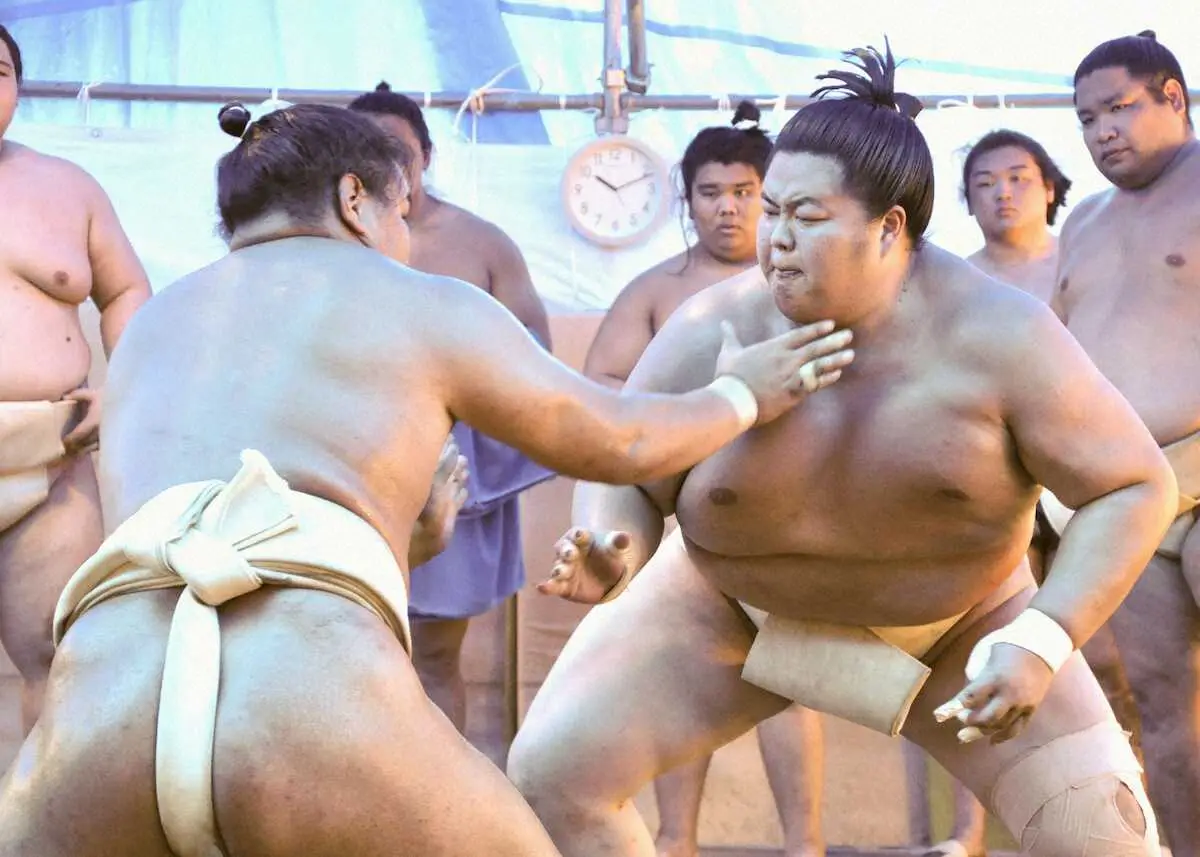 稽古で相撲を取る豊昇龍（左）と琴ノ若