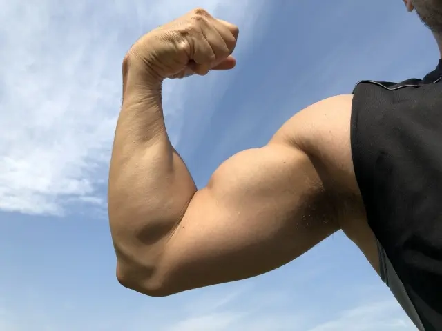 
                            筋トレ民ならば、「筋肉が発達していて、体が大きな人」に憧れたことがあるでしょう。体を大きくするには、がむしゃらにトレーニングすれば良いわけではありません。そう、筋肉を成長させるにはコツがいるのです。 『バルクアップしたい […]
                        