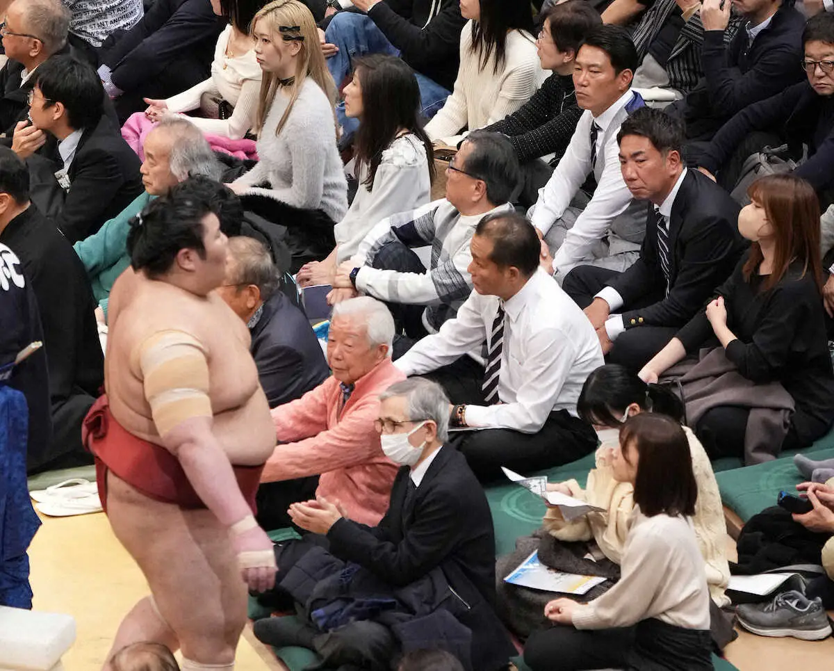 SNSで沸いた侍・井端監督の映り込み　大相撲初場所　観戦の真相明かす「初場所は縁起物…」