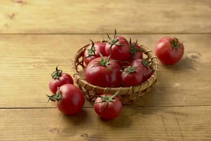 トマトの栄養と効果的な食べ方。ミニトマトやジュースでもいい？マッスルデリ管理栄養士が解説