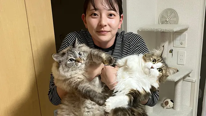 モフモフな飼い猫2匹を紹介。出会ったきっかけや名前の由来は？｜社会人スプリンター・壹岐いちこの「猫と陸上と私」